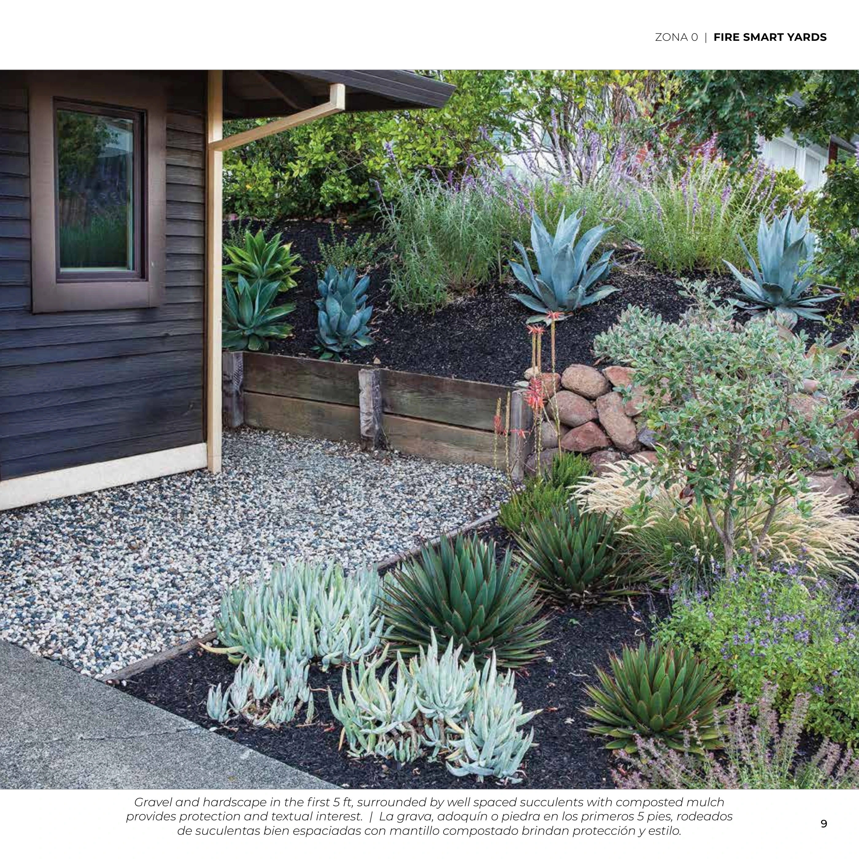 Gravel beside a home with spaced and maintained succulent plantings