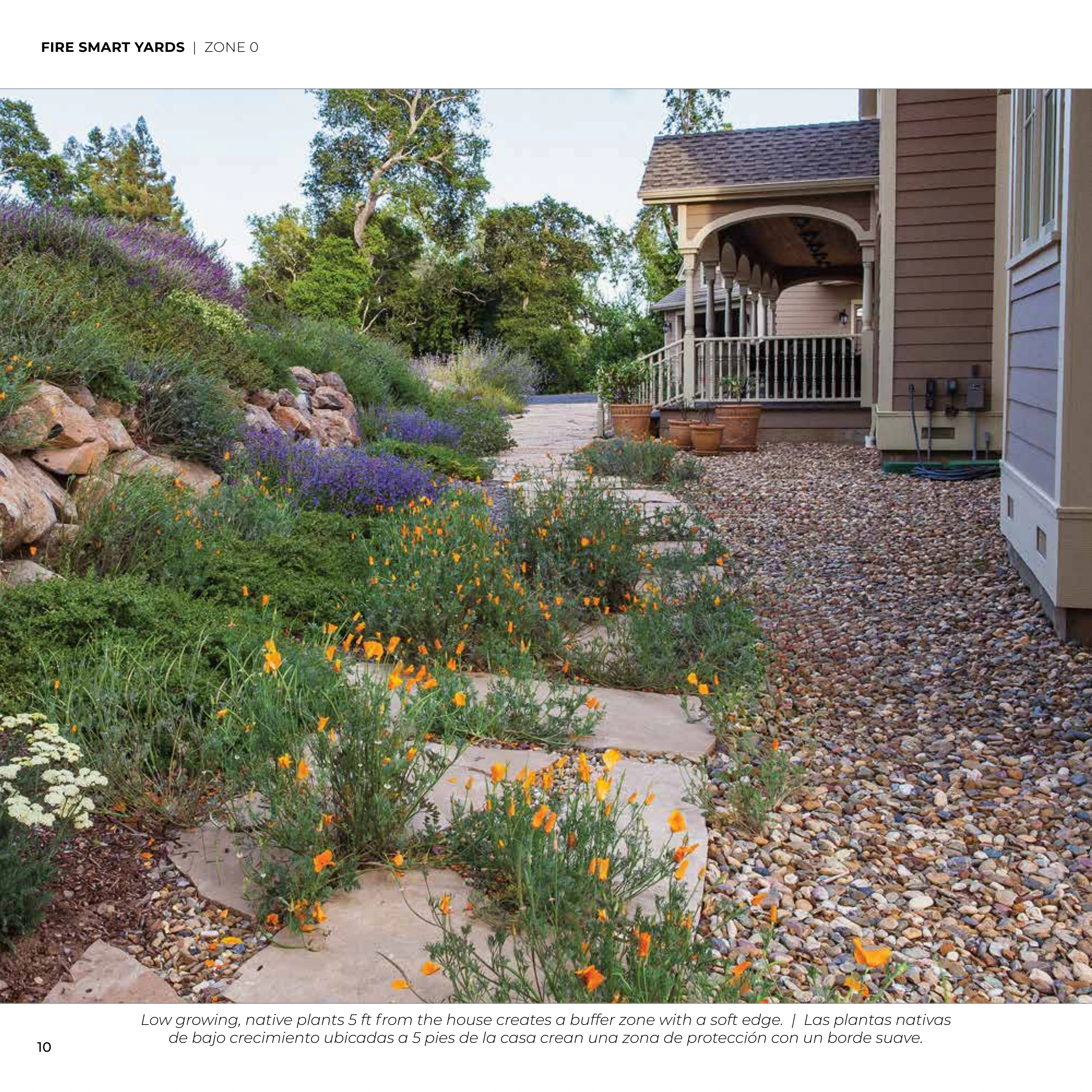 Landscaped home with a rock buffer and low-growing plants spaced away from the structure