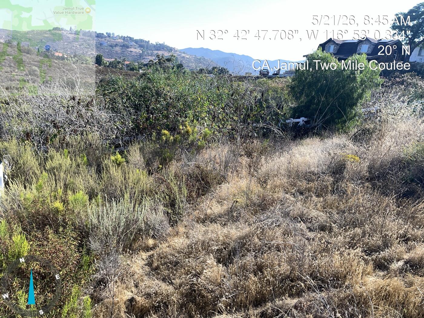 Dense dry vegetation before clearing