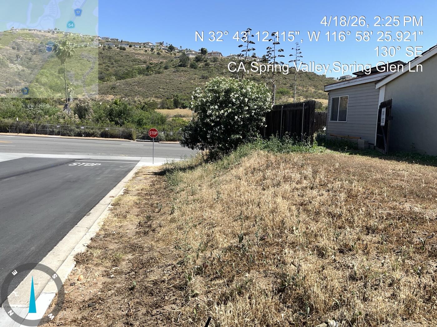 Spring Valley hillside before weed abatement