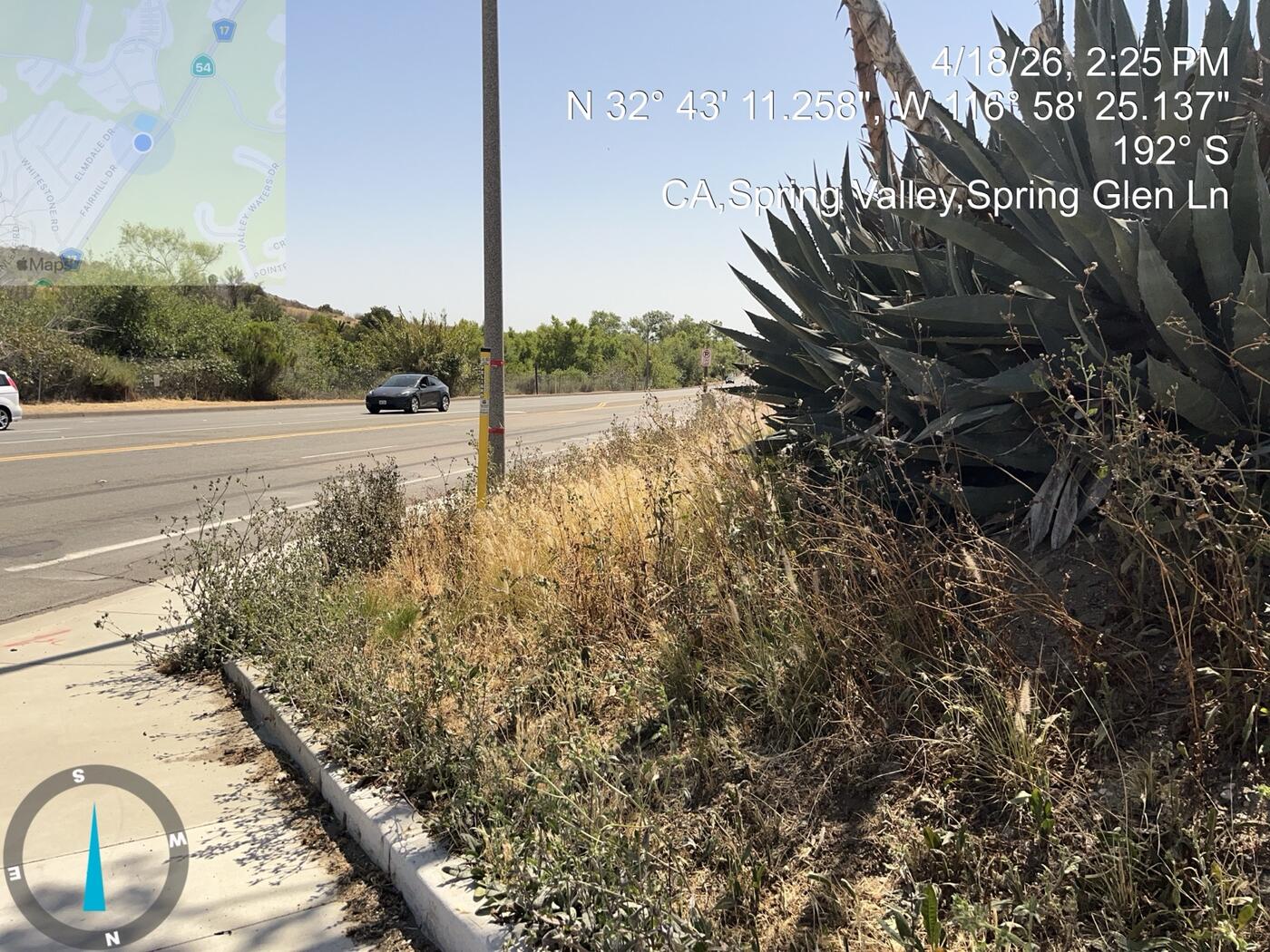 Overgrown residential slope before work